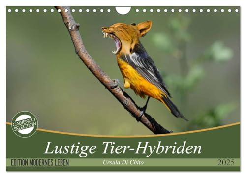 Lustige Tier-Hybriden (Wandkalender 2025 DIN A4 quer), CALVENDO Monatskalender von CALVENDO