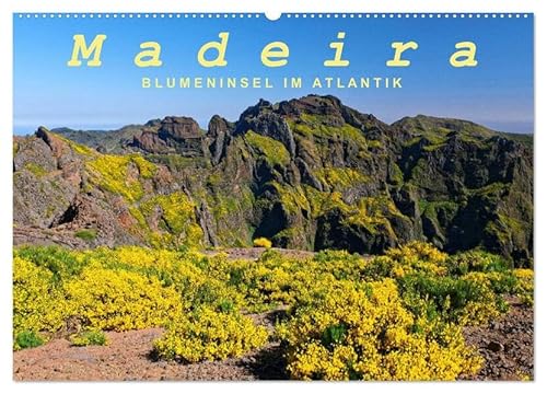 Madeira Blumeninsel im Atlantik (Wandkalender 2026 DIN A2 quer), CALVENDO Monatskalender: Madeira hat eine abwechslungsreiche faszinierende Landschaft (CALVENDO Natur) von Calvendo