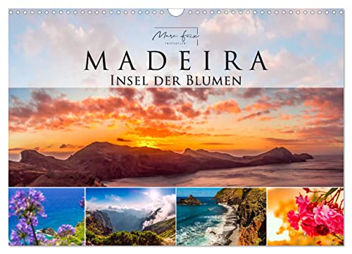 Madeira - Insel der Blumen 2025 (Wandkalender 2025 DIN A3 quer), CALVENDO Monatskalender von CALVENDO