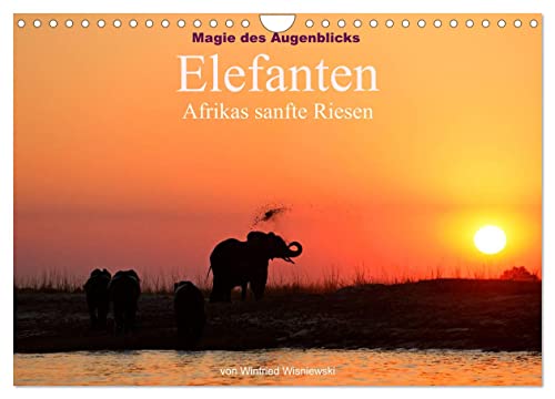 Magie des Augenblicks - Elefanten - Afrikas sanfte Riesen (Wandkalender 2026 DIN A4 quer), CALVENDO Monatskalender: Eindrucksvolle Bilder von den ... von Winfried Wisniewski (CALVENDO Tiere) von Calvendo