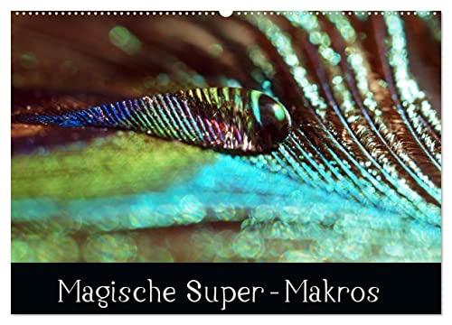 Magische Super-Makros (Wandkalender 2025 DIN A2 quer), CALVENDO Monatskalender: Überraschendes Spiel der Farben und Formen (CALVENDO Natur) von Calvendo