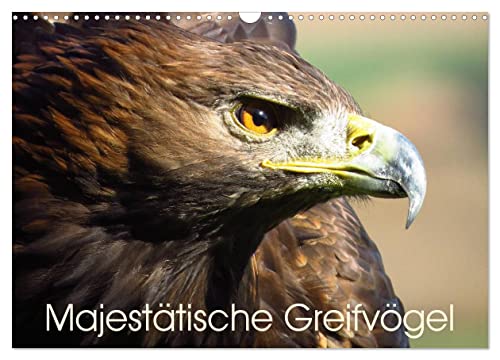 Majestätische Greifvögel (Wandkalender 2025 DIN A3 quer), CALVENDO Monatskalender von CALVENDO