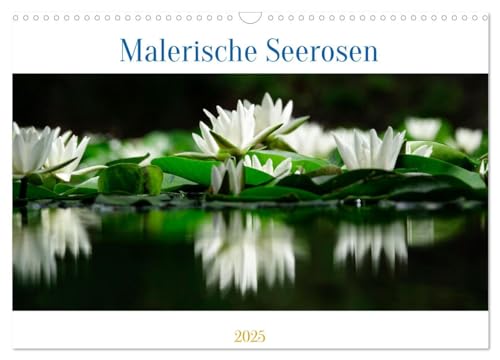 Malerische Seerosen (Wandkalender 2025 DIN A3 quer), CALVENDO Monatskalender von CALVENDO