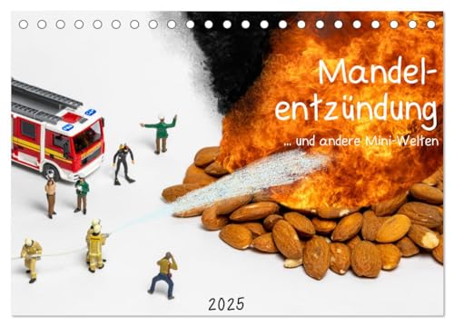 Mandelentzündung ... und andere Mini-Welten (Tischkalender 2025 DIN A5 quer), CALVENDO Monatskalender von CALVENDO