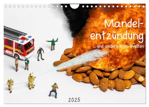 Mandelentzündung ... und andere Mini-Welten (Wandkalender 2025 DIN A4 quer), CALVENDO Monatskalender von CALVENDO