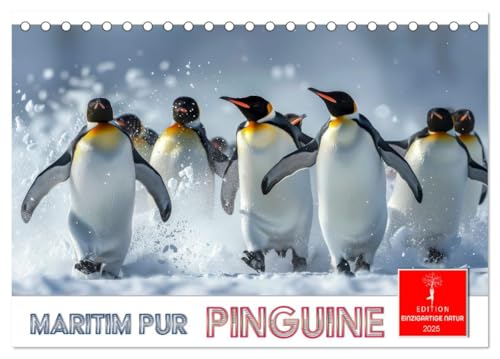 Maritim pur - Pinguine (Tischkalender 2025 DIN A5 quer), CALVENDO Monatskalender von CALVENDO