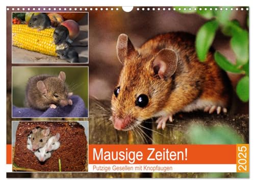 Mausige Zeiten! Putzige Gesellen mit Knopfaugen (Wandkalender 2025 DIN A3 quer), CALVENDO Monatskalender von CALVENDO