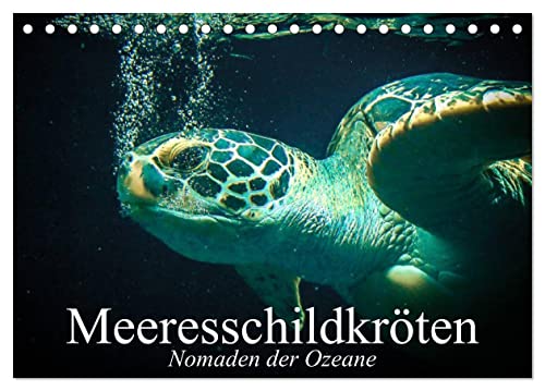 Meeresschildkröten. Nomaden der Ozeane (Tischkalender 2026 DIN A5 quer), CALVENDO Monatskalender: Die bedrohten Überlebenskünstler und Nomaden unserer Weltmeere (CALVENDO Tiere) von Calvendo