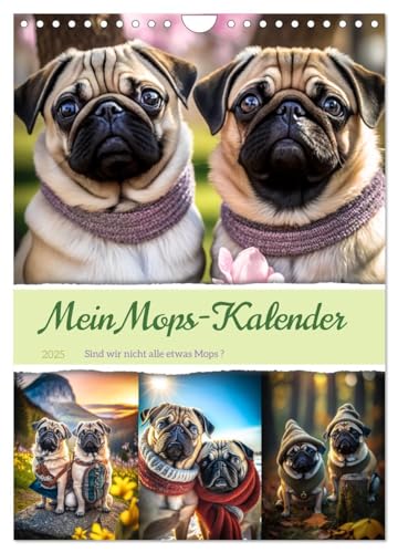 Mein Mops-Kalender (Wandkalender 2025 DIN A4 hoch), CALVENDO Monatskalender von CALVENDO