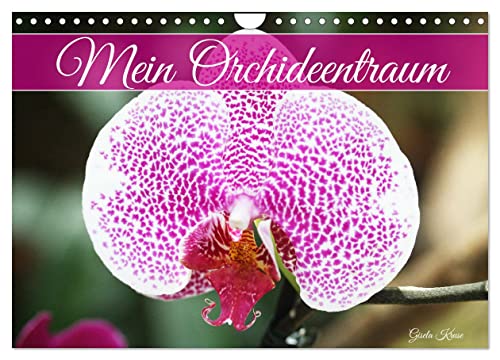 Mein Orchideentraum (Wandkalender 2025 DIN A4 quer), CALVENDO Monatskalender: Vielfältige Orchideenblüten in ausdrucksstarken Fotografien (CALVENDO Natur) von Calvendo
