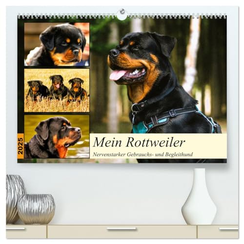 Mein Rottweiler. Nervenstarker Gebrauchs- und Begleithund (hochwertiger Premium Wandkalender 2025 DIN A2 quer), Kunstdruck in Hochglanz von CALVENDO