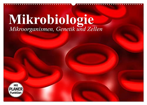 Mikrobiologie. Mikroorganismen, Genetik und Zellen (Wandkalender 2025 DIN A2 quer), CALVENDO Monatskalender von CALVENDO