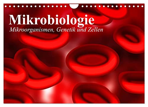 Mikrobiologie. Mikroorganismen, Genetik und Zellen (Wandkalender 2025 DIN A4 quer), CALVENDO Monatskalender von CALVENDO
