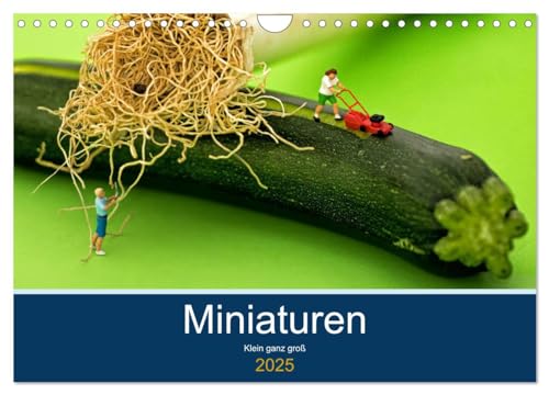 Miniaturen - Klein ganz groß (Wandkalender 2025 DIN A4 quer), CALVENDO Monatskalender von CALVENDO