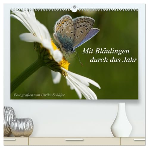 Mit Bläulingen durch das Jahr (hochwertiger Premium Wandkalender 2026 DIN A2 quer), Kunstdruck in Hochglanz von CALVENDO