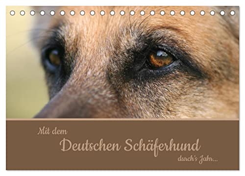 Mit dem Deutschen Schäferhund durch's Jahr (Tischkalender 2026 DIN A5 quer), CALVENDO Monatskalender von CALVENDO