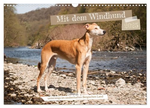 Mit dem Windhund unterwegs im zauberhaften Bergischen Land (Wandkalender 2025 DIN A3 quer), CALVENDO Monatskalender von CALVENDO