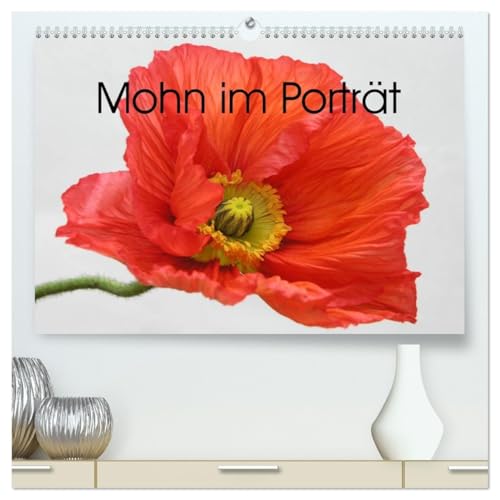 Mohn im Porträt (hochwertiger Premium Wandkalender 2026 DIN A2 quer), Kunstdruck in Hochglanz: 1 Jahr lang Mohnblüten-Genuss (CALVENDO Natur) von Calvendo