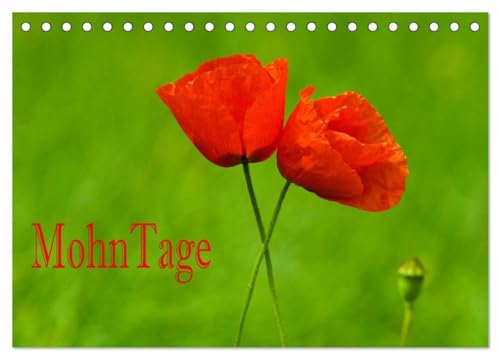 MohnTage (Tischkalender 2026 DIN A5 quer), CALVENDO Monatskalender: Mohnblumen sind vielseitige, atemberaubende Pflanzen - der Kalender zeigt die ... Vielfalt dieser Blumenart. (CALVENDO Natur) von Calvendo
