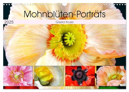 Mohnblüten-Porträts (Wandkalender 2025 DIN A3 quer), CALVENDO Monatskalender von CALVENDO