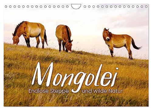 Mongolei - Endlose Steppe und wilde Natur. (Wandkalender 2025 DIN A4 quer), CALVENDO Monatskalender: Eine unbeschreibliche Reise durch ein unbekanntes Land. (CALVENDO Orte) von Calvendo