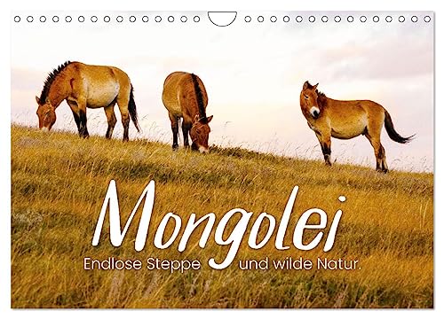 Mongolei - Endlose Steppe und wilde Natur. (Wandkalender 2025 DIN A4 quer), CALVENDO Monatskalender von CALVENDO