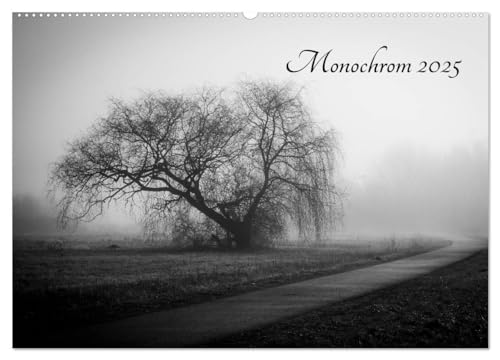 Monochrom 2025 (Wandkalender 2025 DIN A2 quer), CALVENDO Monatskalender: Monatskalender mit stimmungsvollen Bildern in schwarz-weiß (CALVENDO Natur) von Calvendo