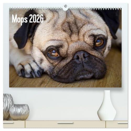 Mops 2026 (hochwertiger Premium Wandkalender 2026 DIN A2 quer), Kunstdruck in Hochglanz von CALVENDO