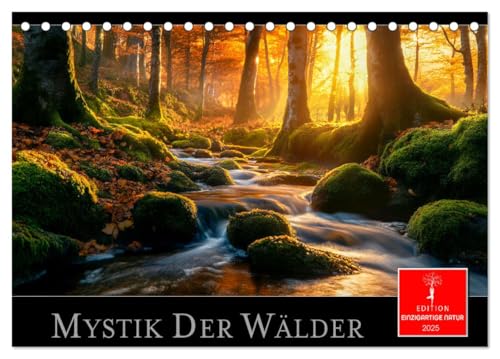 Mystik der Wälder (Tischkalender 2025 DIN A5 quer), CALVENDO Monatskalender von CALVENDO