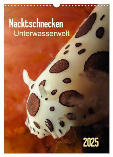 Nacktschnecken - Unterwasserwelt 2025 (Wandkalender 2025 DIN A3 hoch), CALVENDO Monatskalender von CALVENDO
