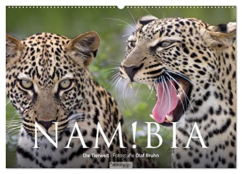 Namibia - Die Tierwelt (Wandkalender 2025 DIN A2 quer), CALVENDO Monatskalender von CALVENDO