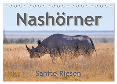 Nashörner - Sanfte Riesen (Tischkalender 2025 DIN A5 quer), CALVENDO Monatskalender von CALVENDO