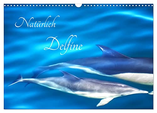 Natürlich Delfine (Wandkalender 2025 DIN A3 quer), CALVENDO Monatskalender: Glückliche Delfine leben in ihrem natürlichen Lebensraum (CALVENDO Tiere) von Calvendo