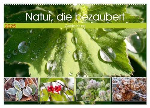 Natur, die bezaubert (Wandkalender 2025 DIN A2 quer), CALVENDO Monatskalender von CALVENDO