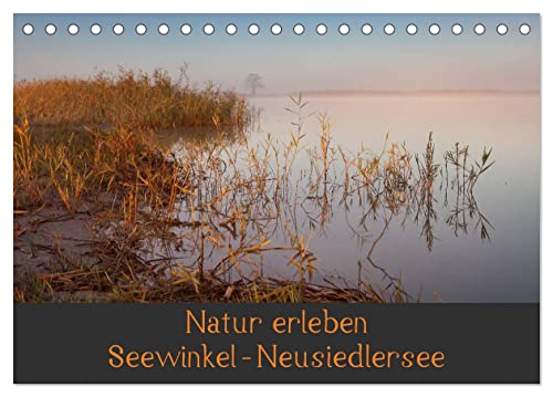 Natur erleben Seewinkel-Neusiedlersee (Tischkalender 2025 DIN A5 quer), CALVENDO Monatskalender von CALVENDO