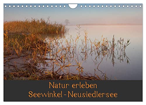 Natur erleben Seewinkel-Neusiedlersee (Wandkalender 2025 DIN A4 quer), CALVENDO Monatskalender von CALVENDO