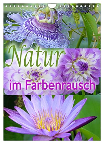 Natur im Farbenrausch (Wandkalender 2025 DIN A4 hoch), CALVENDO Monatskalender von CALVENDO