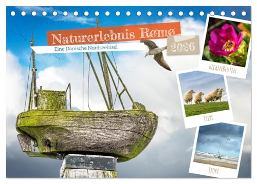 Naturerlebnis Rømø (Tischkalender 2026 DIN A5 quer), CALVENDO Monatskalender von CALVENDO