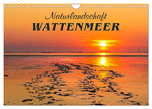 Naturlandschaft WATTENMEER (Wandkalender 2025 DIN A4 quer), CALVENDO Monatskalender von CALVENDO