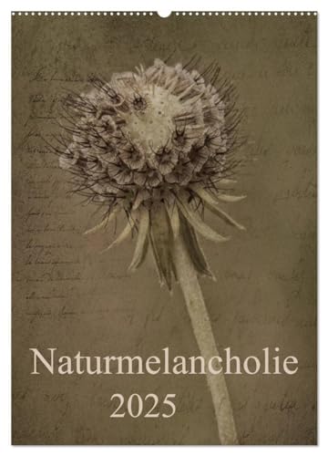 Naturmelancholie 2025 (Wandkalender 2025 DIN A2 hoch), CALVENDO Monatskalender: Blüten,Knospen und Gräser, stilvoll und unvergleichlich werden sie ... eigenes kleines Kunstwerk. (CALVENDO Natur) von CALVENDO
