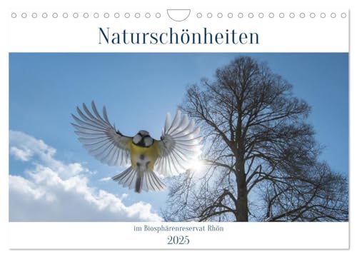 Naturschönheiten im Biosphärerenreservat Rhön (Wandkalender 2025 DIN A4 quer), CALVENDO Monatskalender von CALVENDO