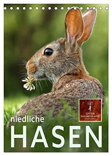 Niedliche Hasen (Tischkalender 2025 DIN A5 hoch), CALVENDO Monatskalender von CALVENDO