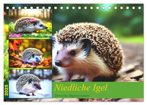 Niedliche Igel (Tischkalender 2025 DIN A5 quer), CALVENDO Monatskalender von CALVENDO