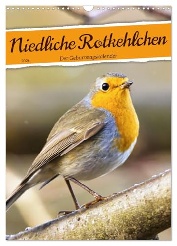 Niedliche Rotkehlchen (Wandkalender 2026 DIN A3 hoch), CALVENDO Monatskalender von CALVENDO