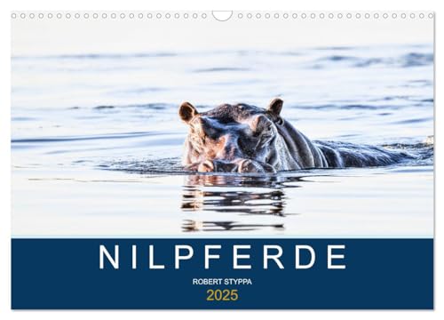 Nilpferde, Kolosse in Afrika (Wandkalender 2025 DIN A3 quer), CALVENDO Monatskalender von CALVENDO