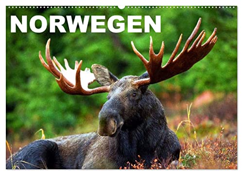 Norwegen (Wandkalender 2025 DIN A2 quer), CALVENDO Monatskalender von CALVENDO