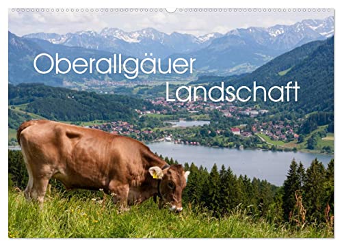 Oberallgäuer Landschaft (Wandkalender 2025 DIN A2 quer), CALVENDO Monatskalender von CALVENDO