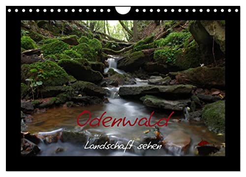Odenwald - Landschaft sehen (Wandkalender 2025 DIN A4 quer), CALVENDO Monatskalender von CALVENDO