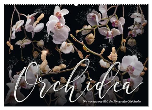 Orchidea (Wandkalender 2025 DIN A2 quer), CALVENDO Monatskalender: 12 fantastische und humorvolle Foto-Kompositionen des Schöneicher Fotografen Olaf Bruhn. (CALVENDO Natur) von CALVENDO