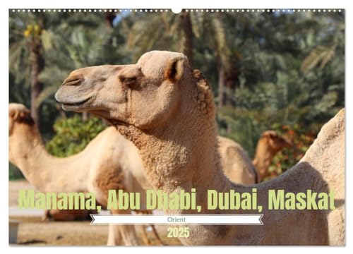 Orient - Manama, Abu Dhabi, Dubai, Maskat (Wandkalender 2025 DIN A2 quer), CALVENDO Monatskalender von CALVENDO